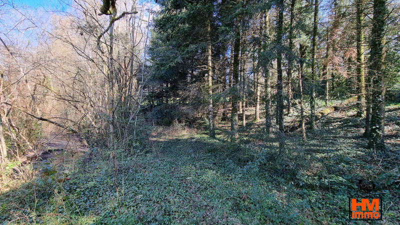 Terrain - 50 000 m²