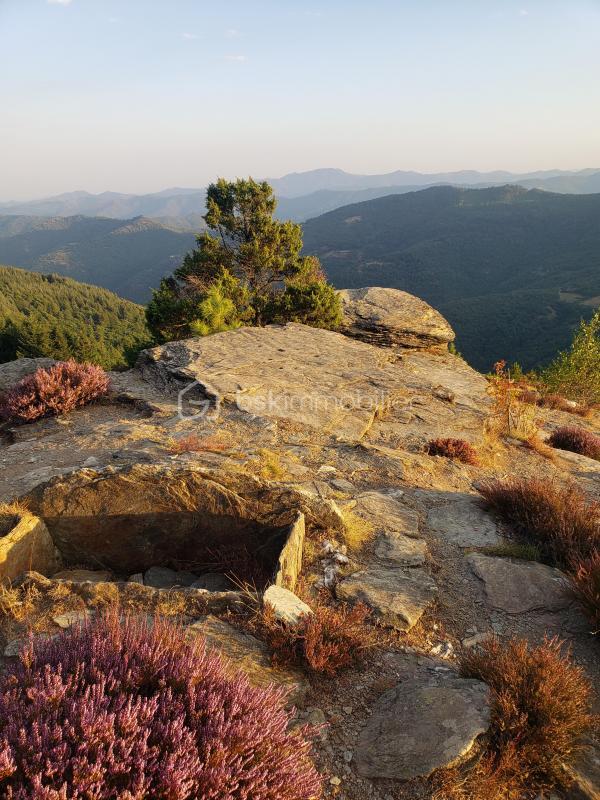 Maison de village - 42 m² - 3 pièces