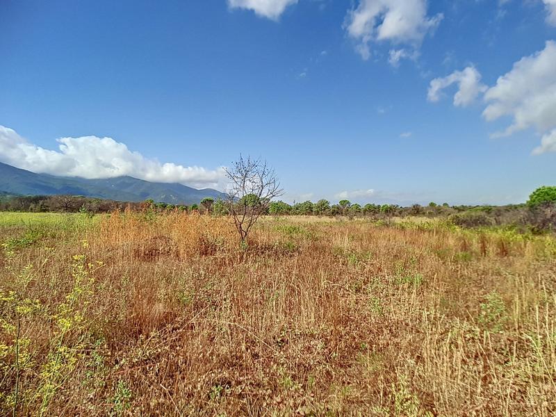 Terrain agricole - 6 389 m²