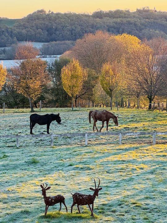 Maison - 365 m² - 8 pièces