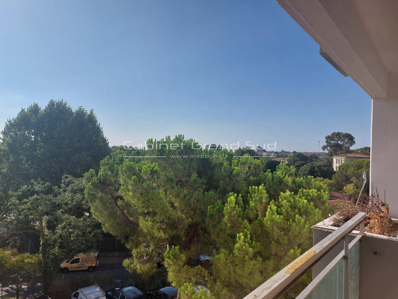 Appartement - 55 m² - 2 pièces