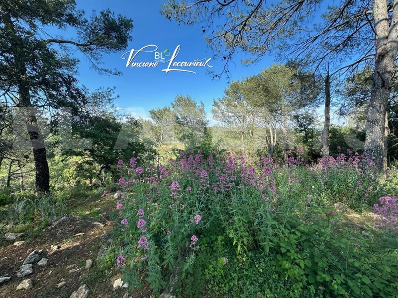 Maison - 185 m² - 8 pièces