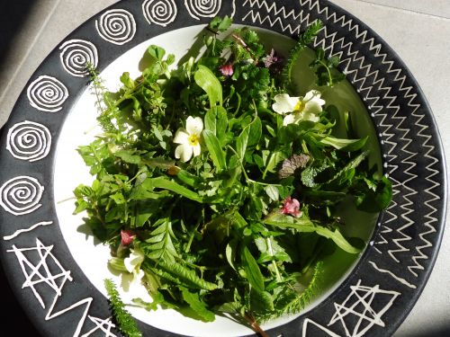 Bourrache et Coquelicot