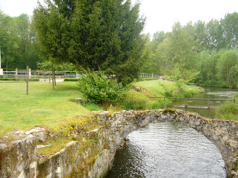 Maison - 230 m² - 5 pièces