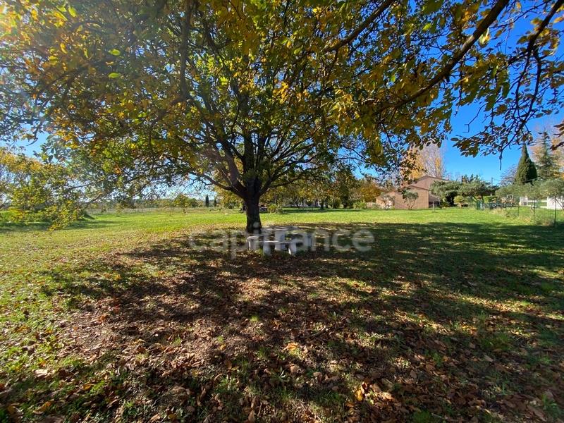 Propriété - 240 m² - 10 pièces