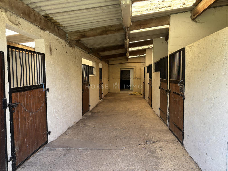 Maison - 310 m² - 7 pièces