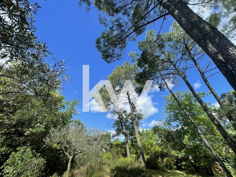 Maison - 217 m² - 7 pièces