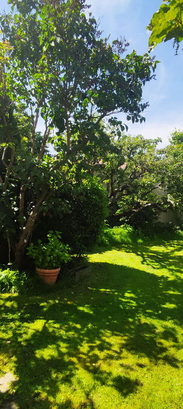 Appartement - 56 m² - 2 pièces