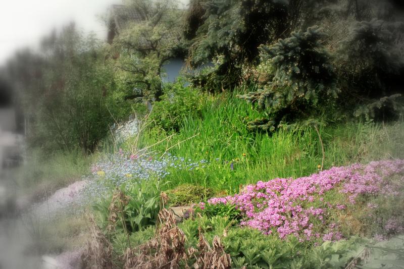 Marche printanière du 1er mai