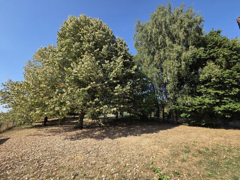 Pavillon - 279 m² - 10 pièces