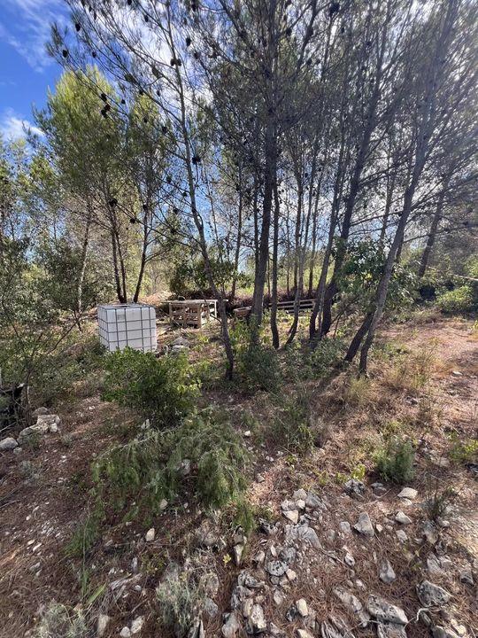 Terrain de loisirs - 2 006 m²