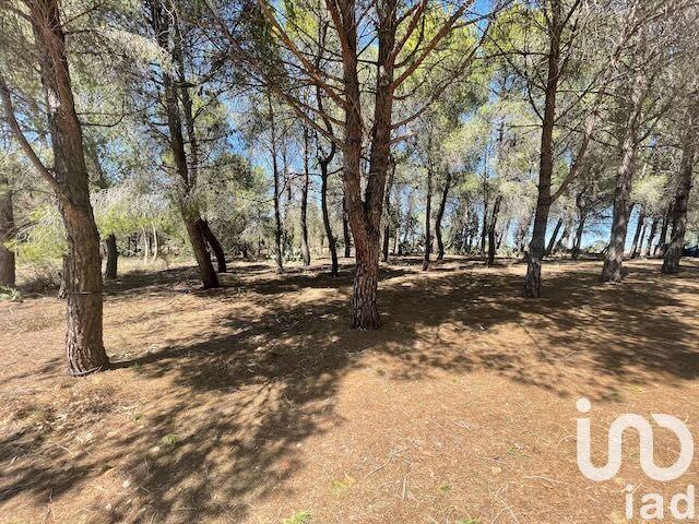 Terrain - 13 930 m²