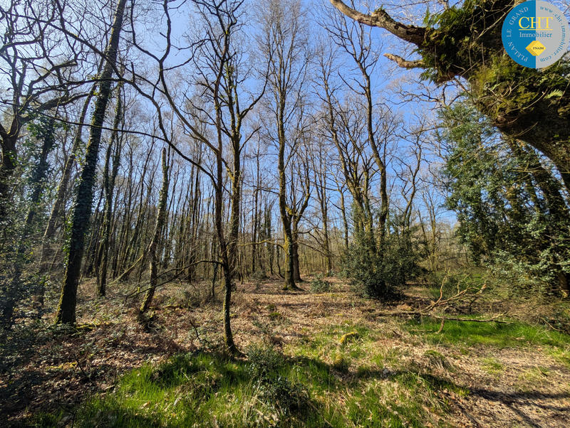 Terrain - 24 900 m²