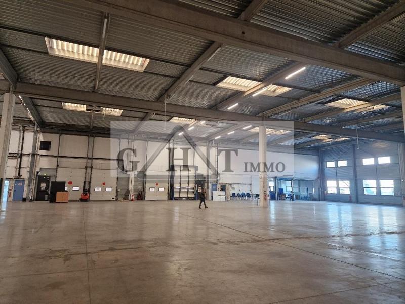 Entrepôt - 4 202 m²