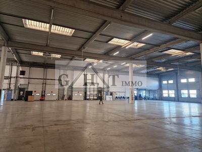 Entrepôt - 4 202 m²