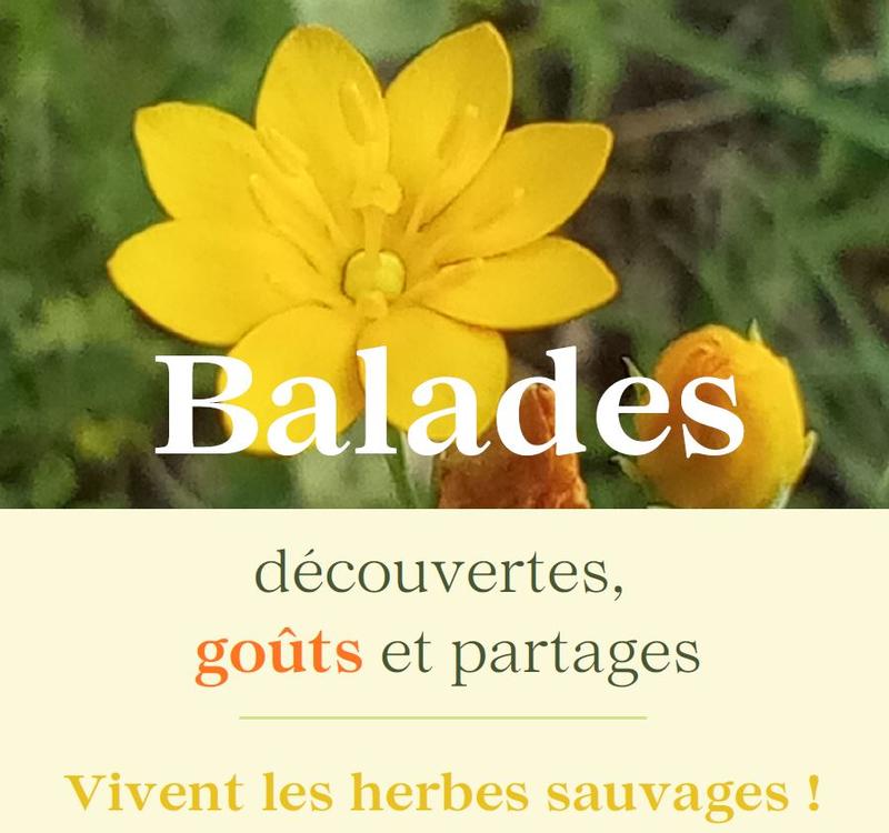 Atelier à "fleur de sens" Approche sensorielle et artistique