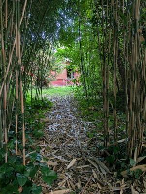 Châlet - 36 m² - 1 pièce