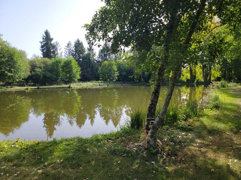 Propriété - 298 m² - 10 pièces