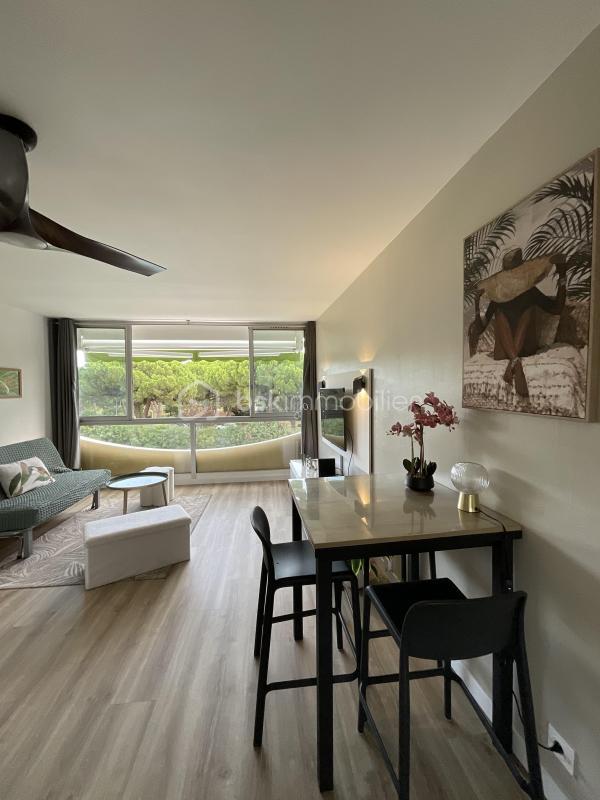 Studio - 24 m² - 1 pièce