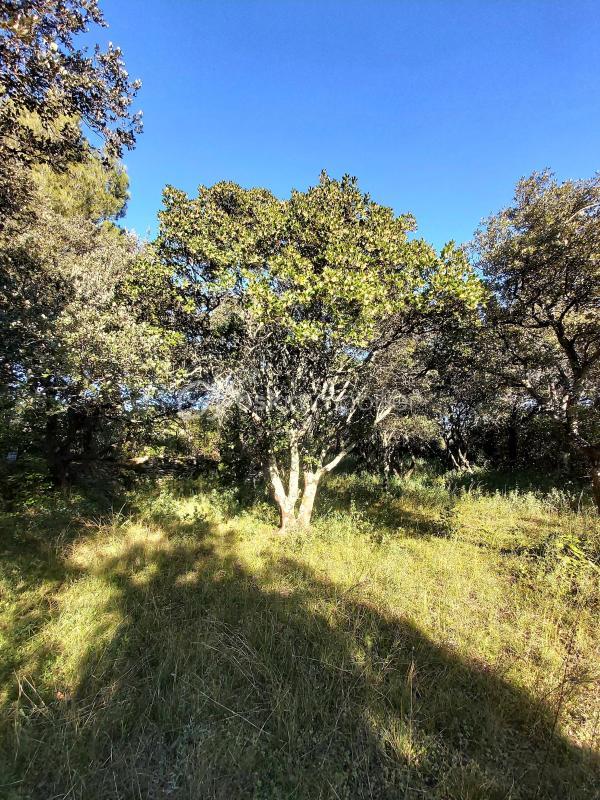 Terrain de loisirs - 5 910 m²