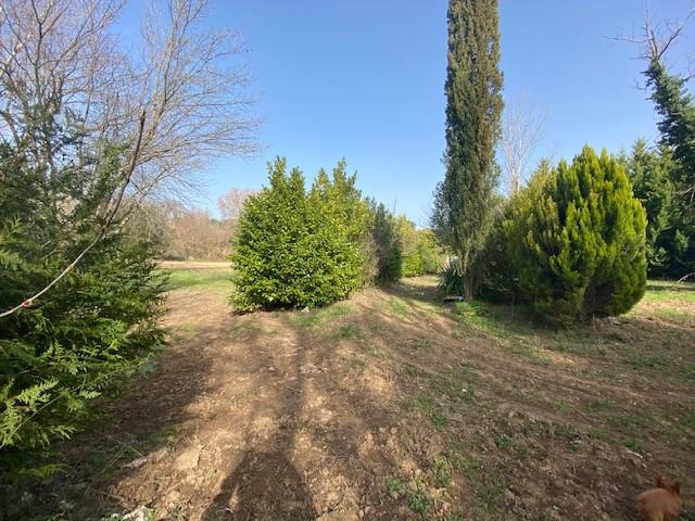 Terrain agricole - 4 770 m²