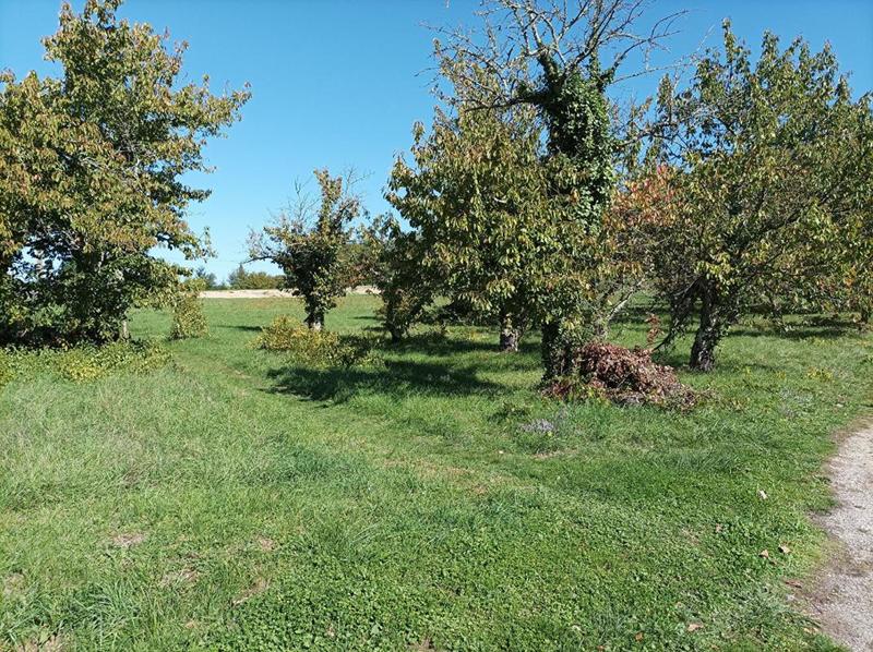 Terrain constructible - 1 628 m²