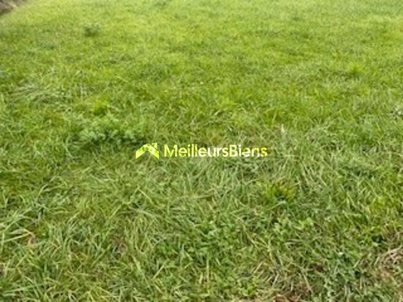 Terrain constructible - 882 m²