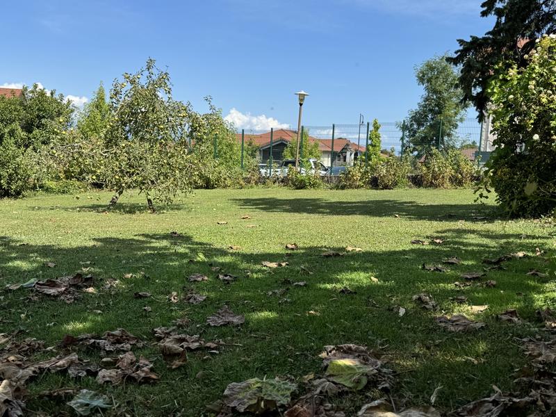 Immeuble mixte - 168 m² - 7 pièces