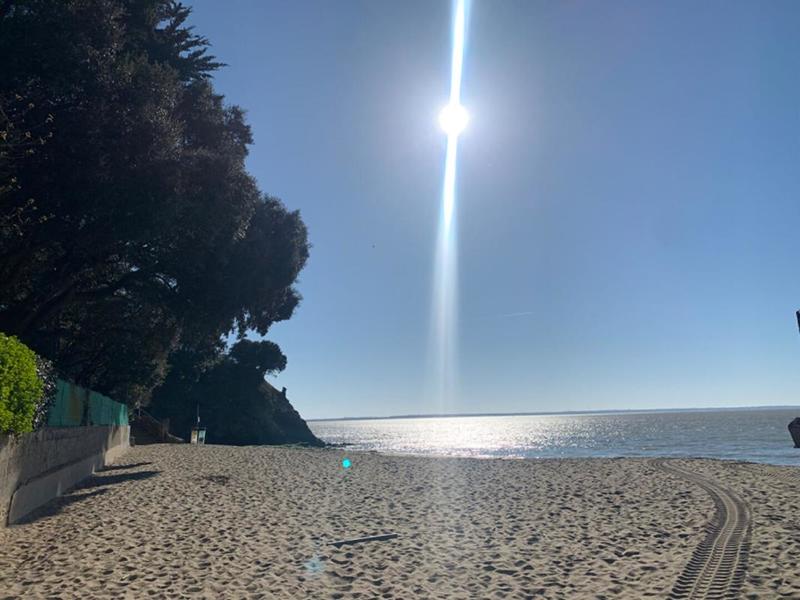 Appartement - 88 m² - 4 pièces