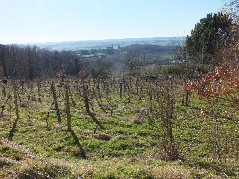 Maison - 261 m² - 9 pièces