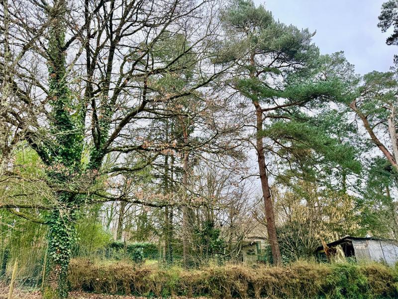 Maison - 93 m² - 5 pièces