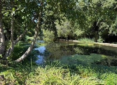 Maison - 99 m² - 5 pièces