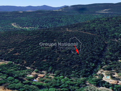 Terrain - 44 173 m²