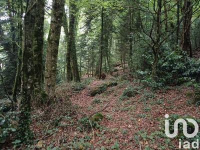 Maison - 180 m² - 8 pièces