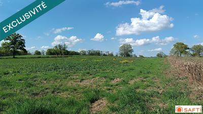 Terrain - 10 517 m²