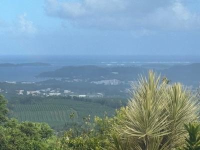 Villa - 272 m² - 5 pièces