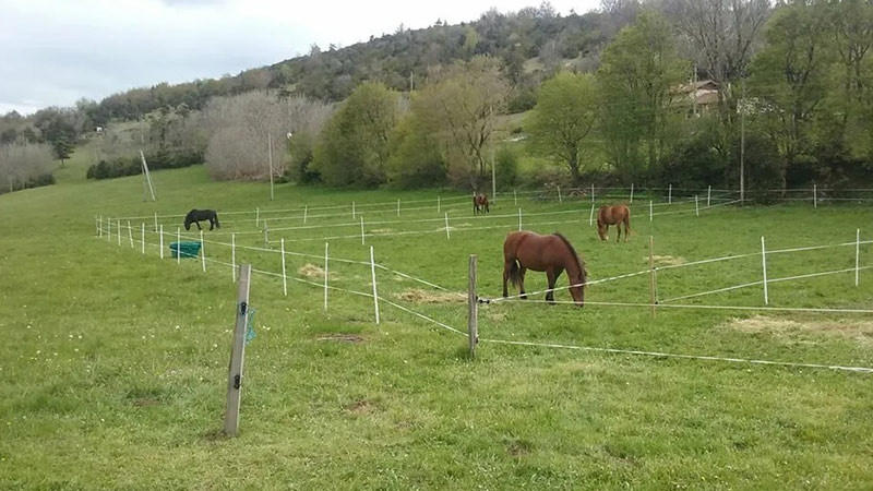 Maison - 830 m² - 20 pièces