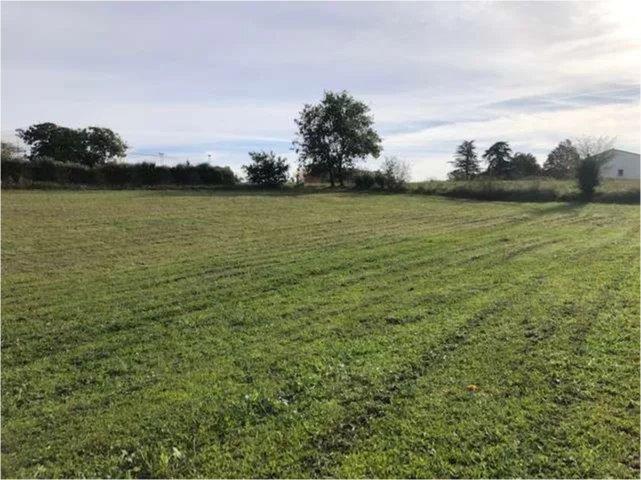 Terrain constructible - 1 446 m²