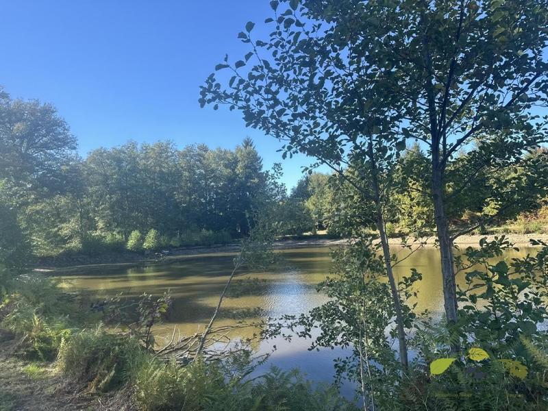 Propriété - 65 m²