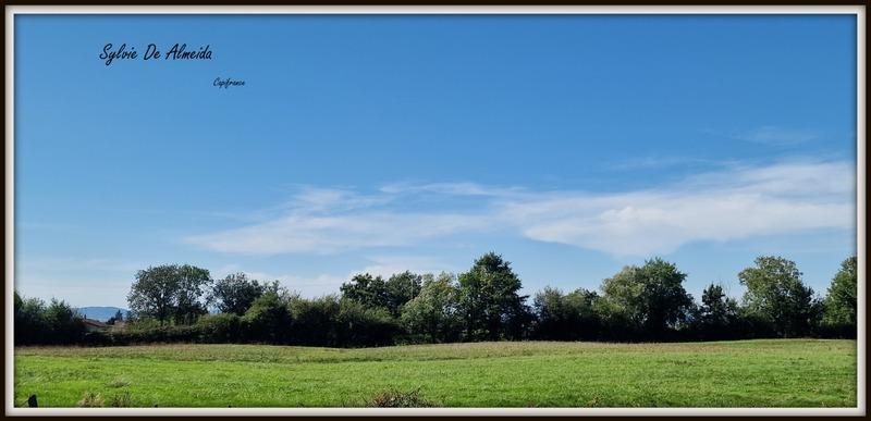 Maison - 85 m² - 5 pièces