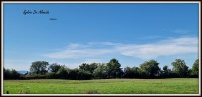 Maison - 85 m² - 5 pièces