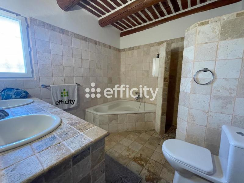 Maison en pierre - 550 m² - 18 pièces