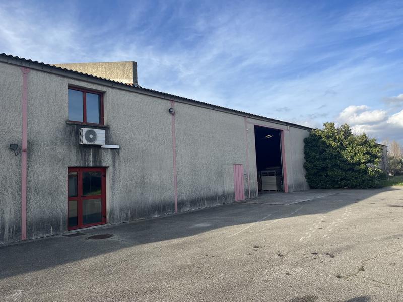 Local d'activités - 1 205 m²