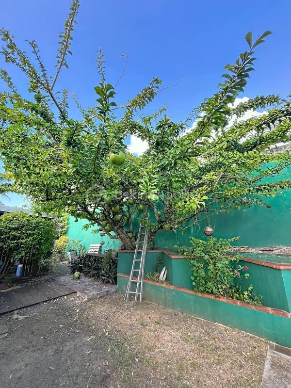 Villa - 163 m² - 5 pièces