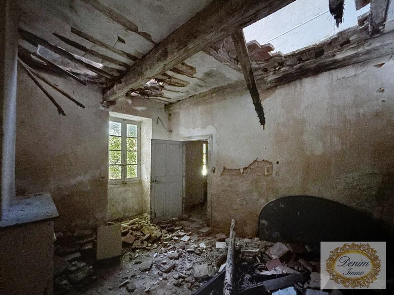 Maison ancienne - 300 m² - 6 pièces