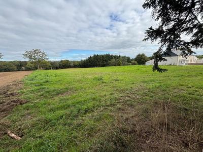 Terrain constructible - 1 306 m²