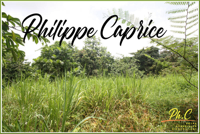 Terrain constructible - 1 015 m²