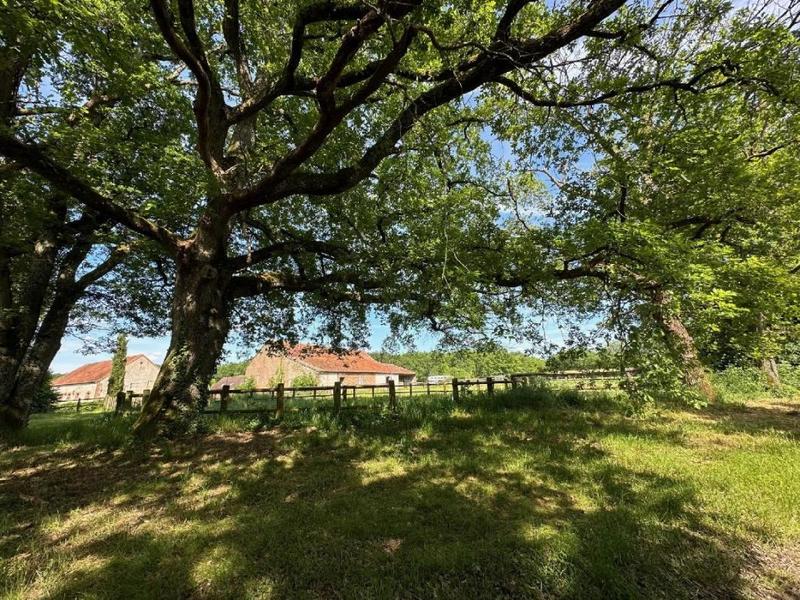 Maison - 240 m² - 14 pièces