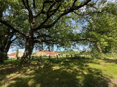 Maison - 240 m² - 14 pièces