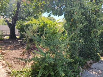 Maison - 88 m² - 5 pièces